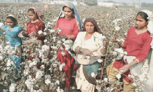 &lsquo;Discriminatory tax policy hit lint production&rsquo;