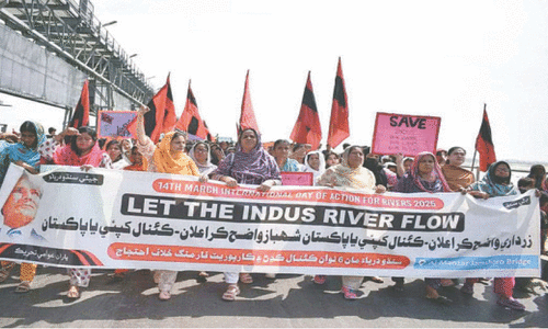 Canals project condemned at widespread rallies on International Day of Action for Rivers