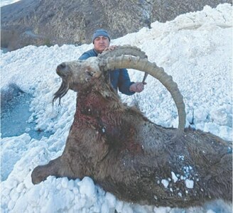 Local man hunts ibex in Chitral
