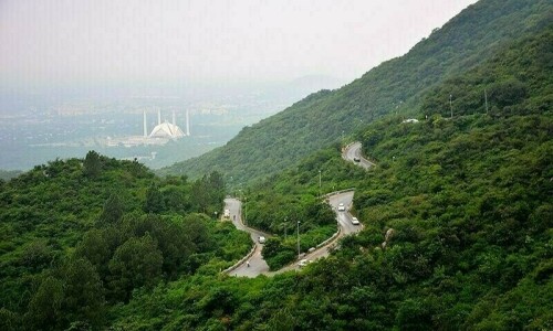 Margalla Hills wildfire intensifies due to strong winds: IWMB