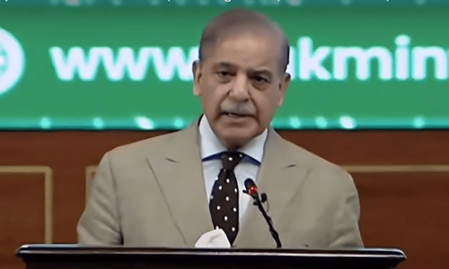 ‘Trillions of dollars’ in mineral deposits can help Pakistan say goodbye to institutions like IMF: PM Shehbaz ‘Trillions of dollars’ in mineral deposits can help Pakistan say goodbye to institutions like IMF: PM Shehbaz