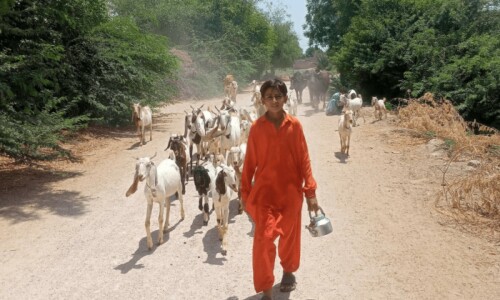 Flooded and forgotten: The haunting reality of flood-ravaged schools in Sindh Flooded and forgotten: The haunting reality of flood-ravaged schools in Sindh