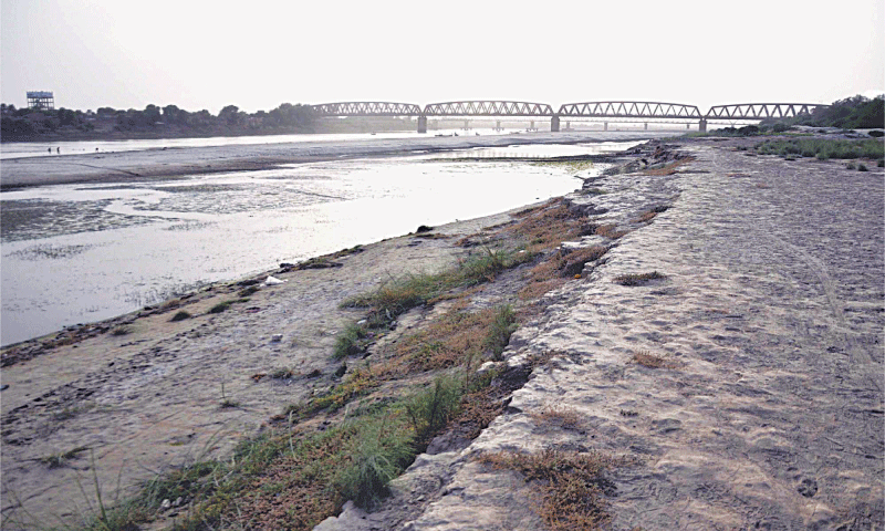 Indus drying up before our eyes, says Sherry