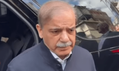 PM Shehbaz regrets persistent use of Afghan soil by terrorists PM Shehbaz regrets persistent use of Afghan soil by terrorists
