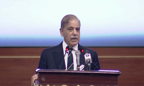 PM Shehbaz announces massive incentives for overseas Pakistanis with job quotas, civil awards