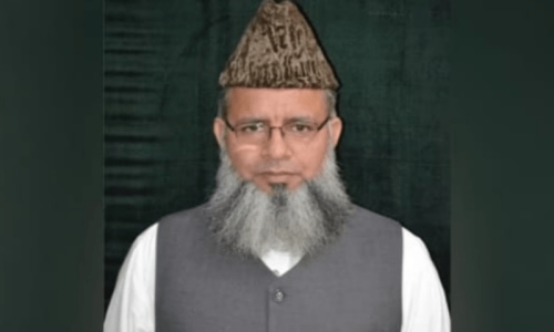 Pro-Palestine boycott should be peaceful, says Council of Islamic Ideology chief