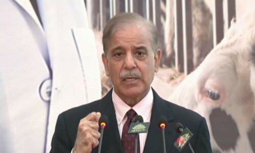 IMF programme wasn&rsquo;t possible without China&rsquo;s support: PM Shehbaz