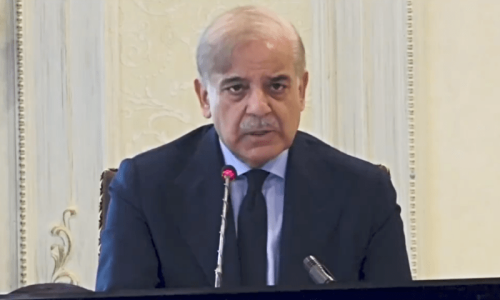 PM Shehbaz assures provinces of support in terror fight