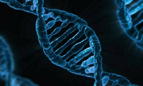 US FDA approves first cell-based gene therapy for rare genetic skin disorder