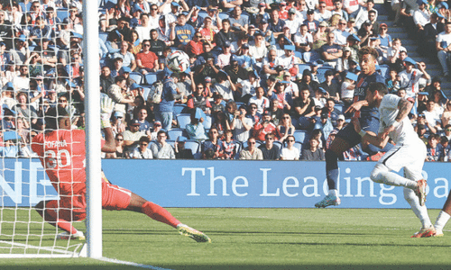 Unbeaten PSG seal Ligue 1 title Unbeaten PSG seal Ligue 1 title