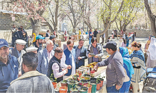 Gulmit blossom festival celebrates spring