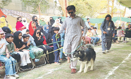 Dera pet show draws animal lovers of all ages