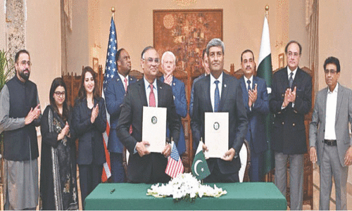 Pakistan stands as bulwark against terrorism, says Naqvi