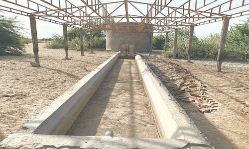 Footprints: Deserted by drought