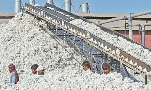 Ginning set to begin early as Sindh harvests new crop Ginning set to begin early as Sindh harvests new crop