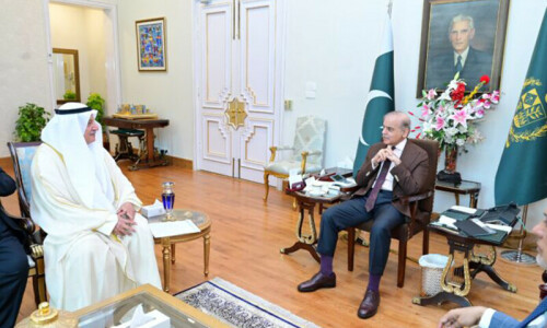 PM Shehbaz urges Saudi Arabia, Gulf allies to help ease tensions in region