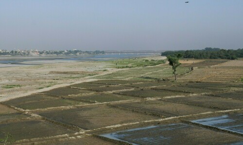 Govt urged to seek US intervention over Indus treaty Govt urged to seek US intervention over Indus treaty