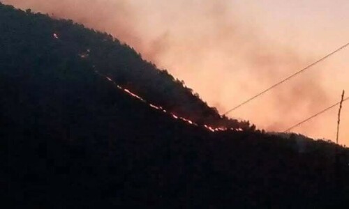 Couple burnt to death in KP’s Shangla amid blazing wildfire Couple burnt to death in KP’s Shangla amid blazing wildfire