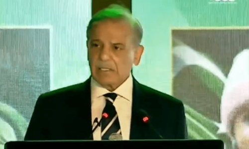 Islamabad, Delhi gained nothing but miseries from wars: PM Shehbaz Islamabad, Delhi gained nothing but miseries from wars: PM Shehbaz