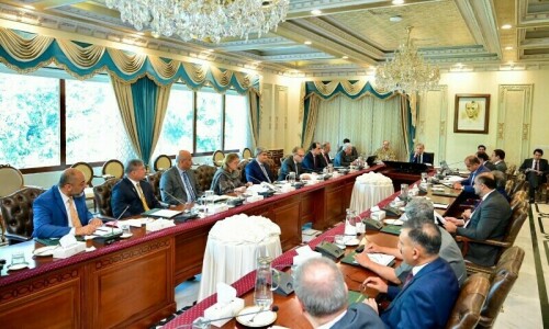 PM Shehbaz forms committee to implement five-year tariff policy