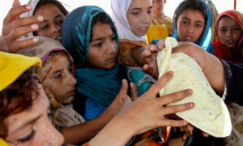 11m people facing acute food insecurity in Pakistan: FAO 11m people facing acute food insecurity in Pakistan: FAO