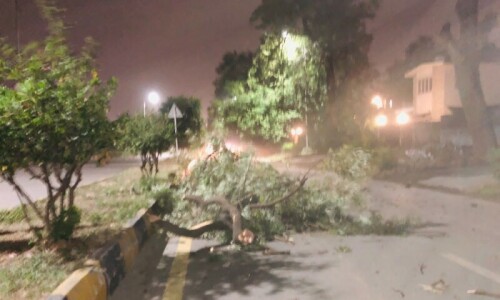 1 child dead, 11 injured in different areas of KP due to strong winds, storms: official