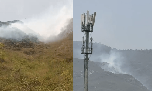 Fire erupts again in Margalla Hills as over 70 firefighters battle blaze