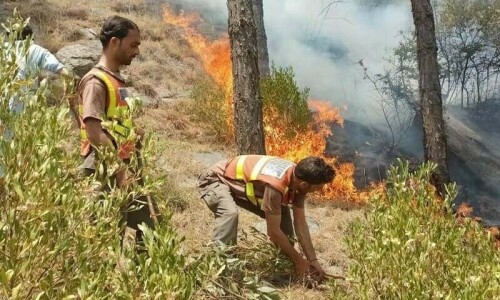 Wildfire destroys trees in mountainous Swabi region