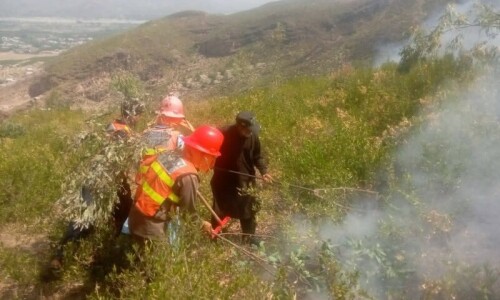 Forest fires successfully contained across KP&rsquo;s districts