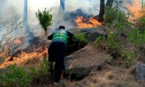 Efforts continue to control massive wildfire in Lower Dir&rsquo;s Adenzai mountains