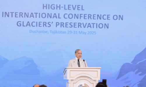 Pakistan won&rsquo;t allow India to cross IWT red line, PM Shehbaz tells int&rsquo;l glaciers conference