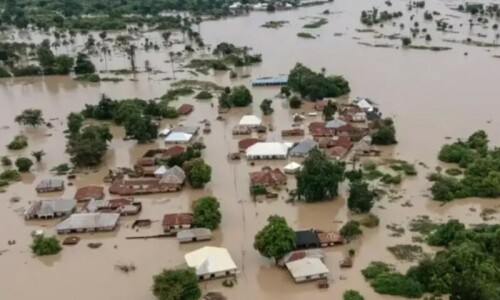 Flood death toll rises to 117 in Nigeria&rsquo;s Niger state: emergency official