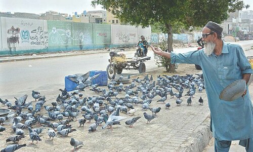 HEALTH: FEATHERS AND FATAL LUNGS