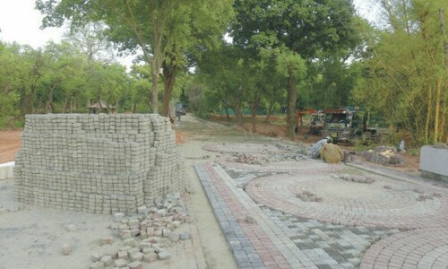 Work on converting CDA&rsquo;s old nursery into &lsquo;Gardenia Hub&rsquo; underway