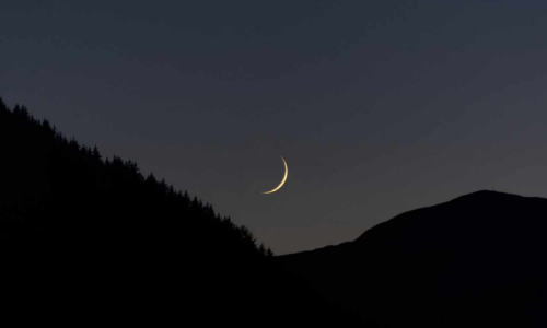Govt announces four-day Eidul Azha holidays Govt announces four-day Eidul Azha holidays