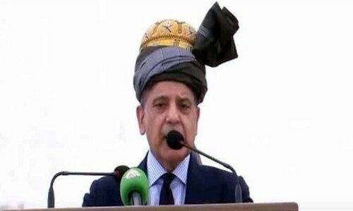 PM Shehbaz sets up committee, vows to resolve all issues concerning KP