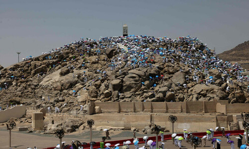 Pilgrims pray and avoid the sun as Haj reaches peak