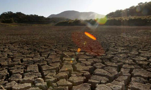 Adaptation to prolonged heatwaves essential for survival: climate ministry