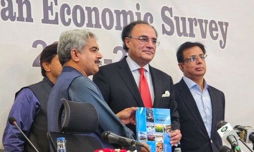 ‘Little substantial achievement’: Analysts weigh in on Economic Survey for FY25 ‘Little substantial achievement’: Analysts weigh in on Economic Survey for FY25