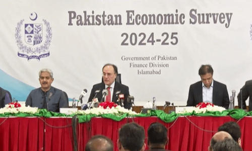Economic Survey 2024-25: Growth stumbles as key targets missed Economic Survey 2024-25: Growth stumbles as key targets missed
