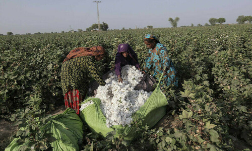 Agriculture a major loser