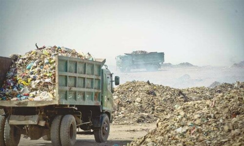 PPP-led Karachi municipal set-up under fire over ‘negligence’ in offal disposal PPP-led Karachi municipal set-up under fire over ‘negligence’ in offal disposal
