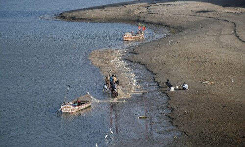 ‘Indus River remains colonised’: Activists call out extractive state policies ‘Indus River remains colonised’: Activists call out extractive state policies