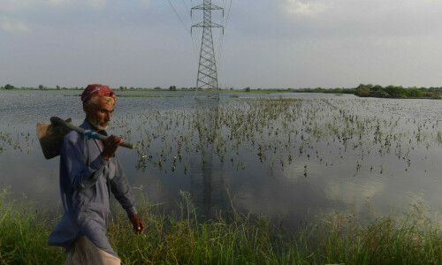 64pc of Punjab development budget allocated for climate