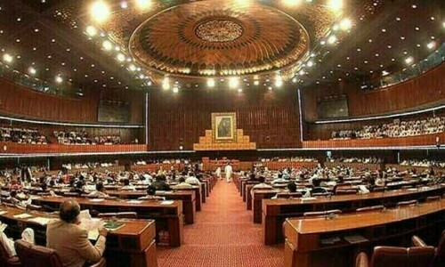 Brawl mars National Assembly budget debate Brawl mars National Assembly budget debate
