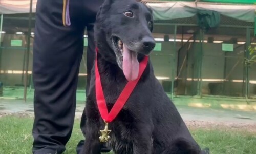 Explosives sniffer dog ‘Deep’ retires after nearly a decade of loyal service with KP Police Explosives sniffer dog ‘Deep’ retires after nearly a decade of loyal service with KP Police