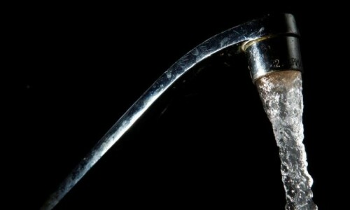 Teenager becomes year’s fourth victim of brain-eating amoeba in Sindh Teenager becomes year’s fourth victim of brain-eating amoeba in Sindh