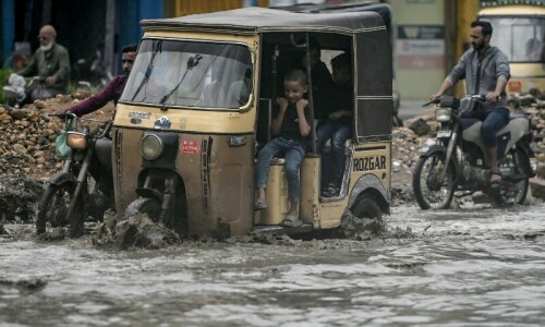 Experts warn of surge in water, vector-borne diseases