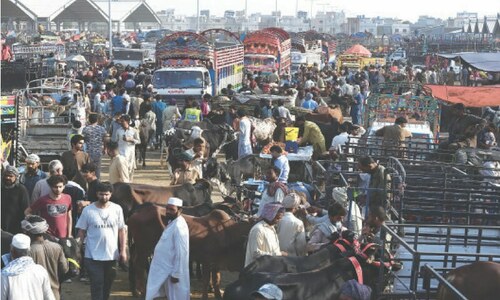 Animals’ trade picks up in city ahead of Eid Animals’ trade picks up in city ahead of Eid