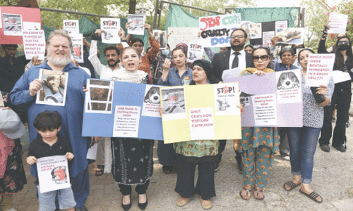 Activists allege ill-treatment of stray dogs at CDA&rsquo;s centre